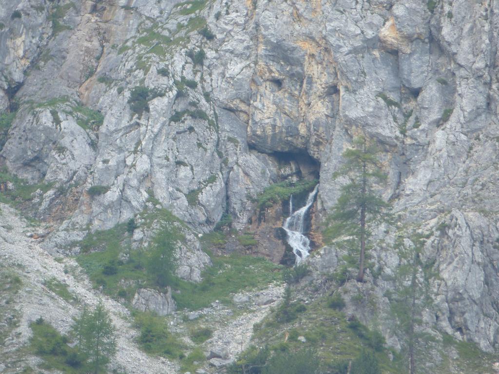 Haus Resi Daire Berwang Dış mekan fotoğraf